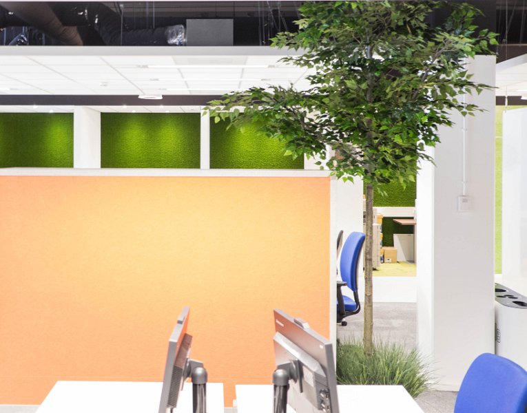 knvb eindhoven  (23 van 12)